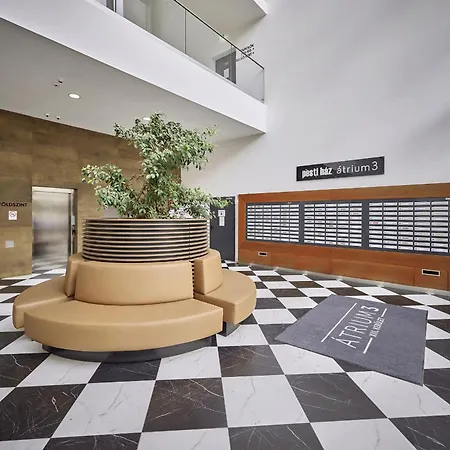 Zene Vinyl Records & Projector 부다페스트