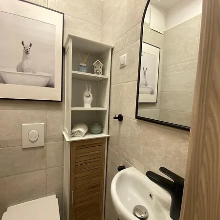 Zene Vinyl Records & Projector Apartment