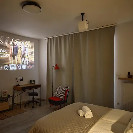 Zene Vinyl Records & Projector Apartment